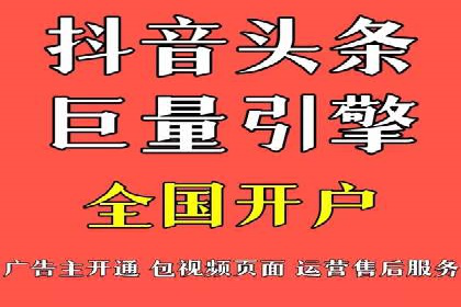 某某SEM团队成功案例：广告投放策略揭秘